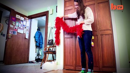 Raising Eyebrows_ Cute Cat Becomes Viral Sensation