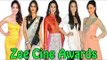 Uncut | Red Carpet Of Zee Cine Awards 2014 | Deepika, Priyanka, Vaani Kapoor