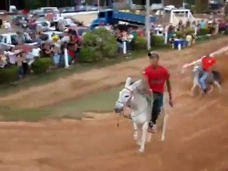 sexy donkey race