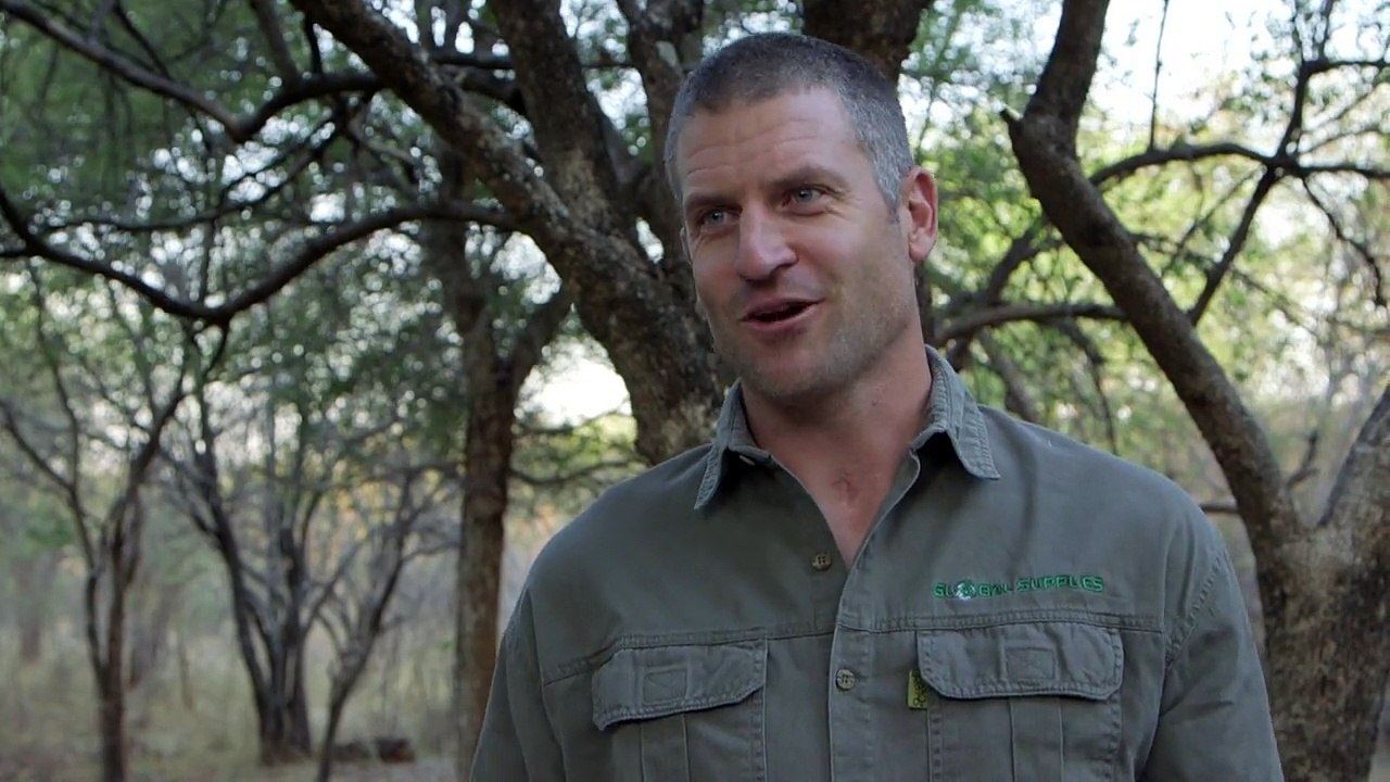 Verhütung für Elefanten - aus dem Hubschrauber