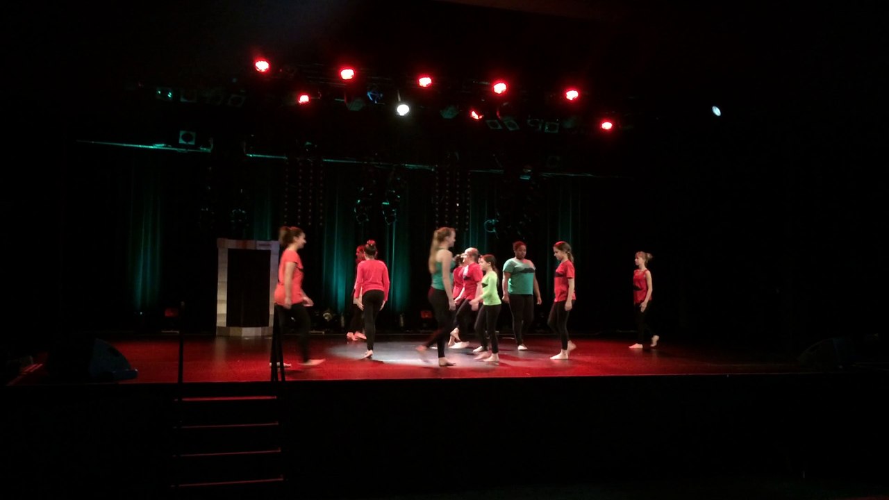 DEP DANSE UNSS 72 - Clg Les 4 vents LE LUDE