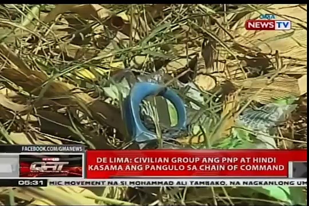 QRT: De Lima: Walang pananagutan sa kasong kriminal si PNoy sa engkwentro sa Mamasapano