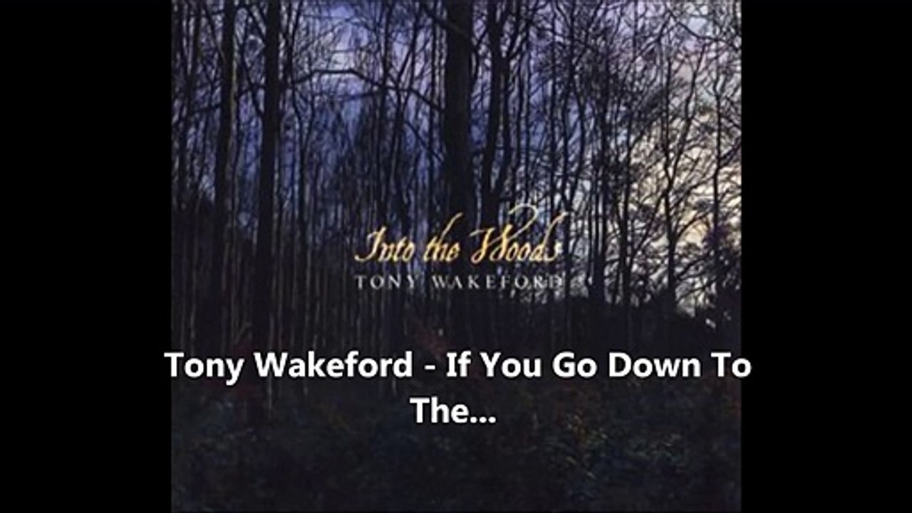 Tony Wakeford - If You Go Down To The...