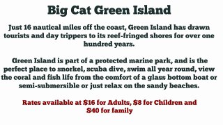 Big Cat Green Island Queensland Tours