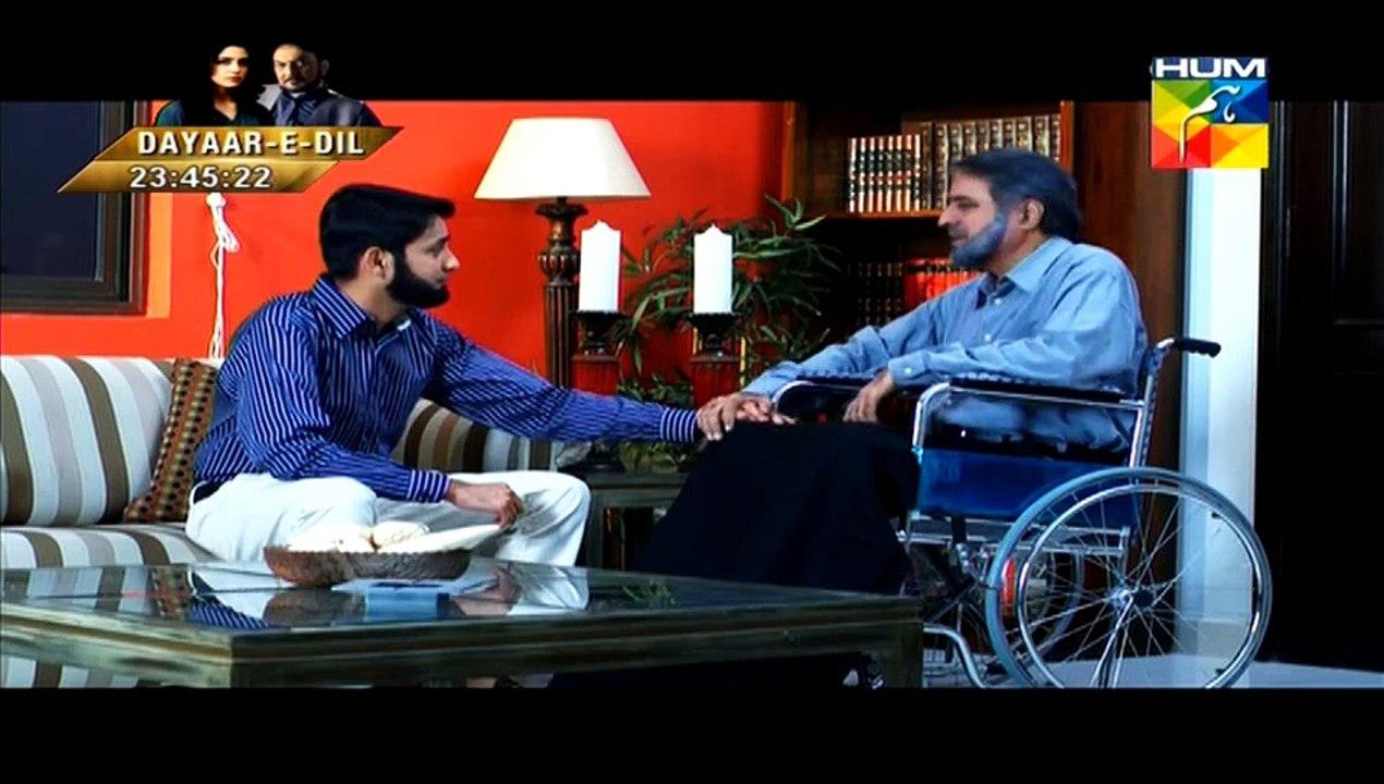 Aik Pal Episode 17 on Hum Tv 16 March 2015