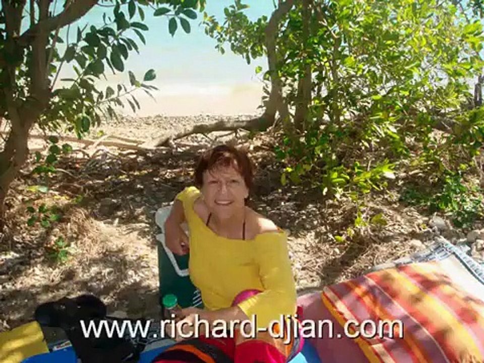 CHANSONS RICHARD DJIAN  COMPOSITEUR ARRANGEUR