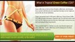 Tropical Green Coffee Bean Extract – Burn Fat Fast