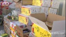 Erbil : 500 colis alimentaires pour les déplacés