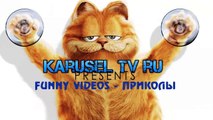 ПРИКОЛЫ 2015_ Подборка лучшего 2015 Funny videos! #14