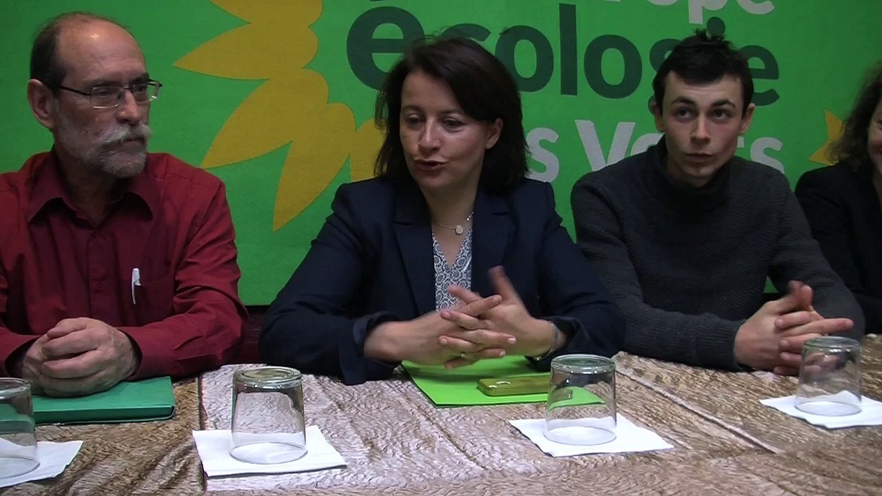 Départementales 2015: Cécile Duflot  avec les candidats EELV à Toulon