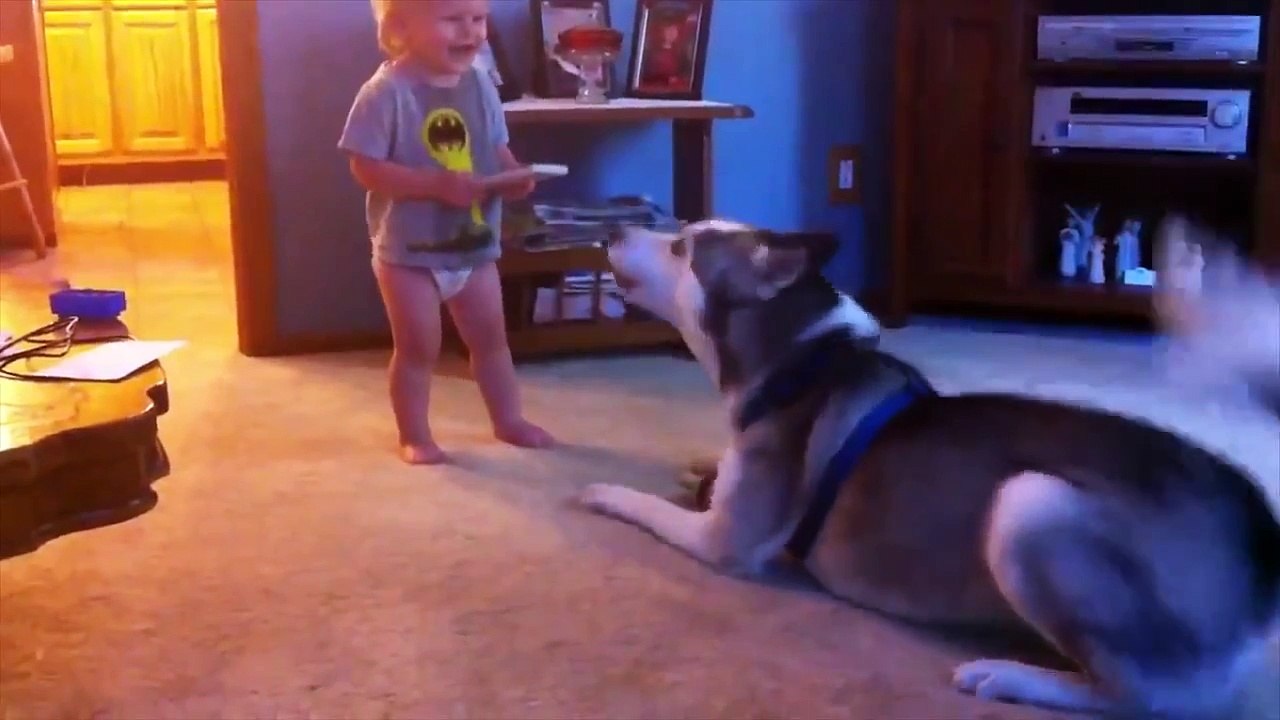 BEST FUNNY VIDEOS OF 2015