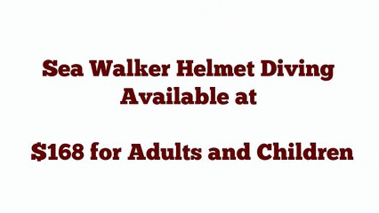 Big Cat Green Island Sea Walker