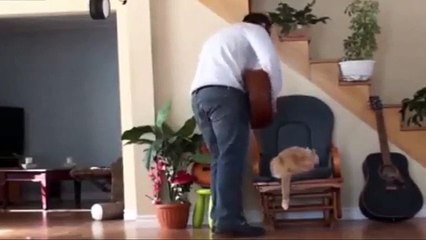 Don't Believe In Karma? Watch What Happens After This Douche Kicks His Cat