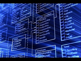 Potenciar y multiplicar las ventas por Internet.