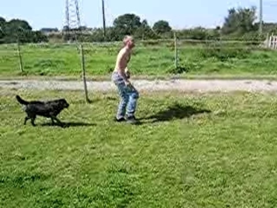 noppe cheval anes ferme