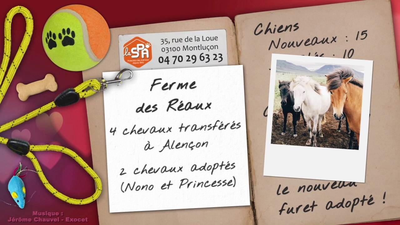 Un mois au refuge : février 2015