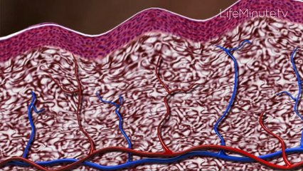 Vaginal Atrophy: What It Is and What You Can Do About It