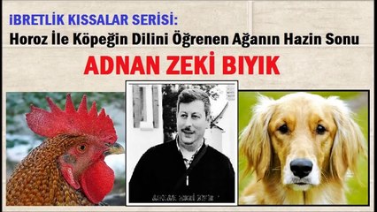 Horoz ve Köpeğin Diyaloğu-Kıssadan Hisse-Adnan Zeki Bıyık