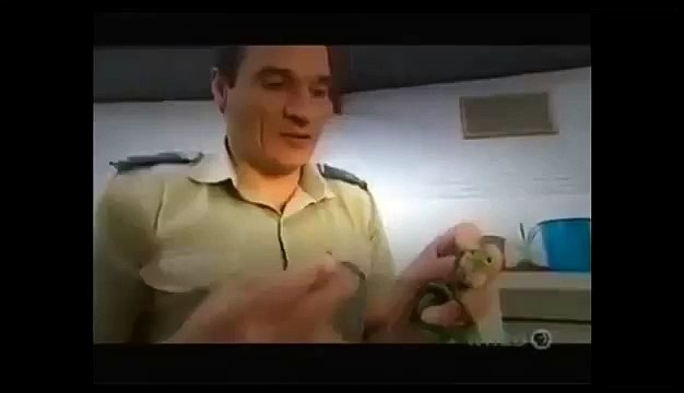 BBC Natural Documentary ** Most Amazing Moments National Geographic Discovery Channel