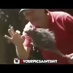 Frank video hahahahaha very funny Video