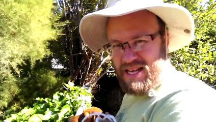 Hoooo non notre balle est partie chez le voisin ! Voila une technique de dingue pour la récupérer !