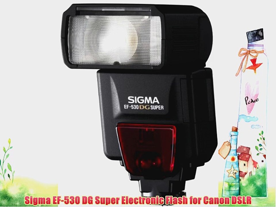 Sigma EF-530 DG Super Electronic Flash for Canon DSLR
