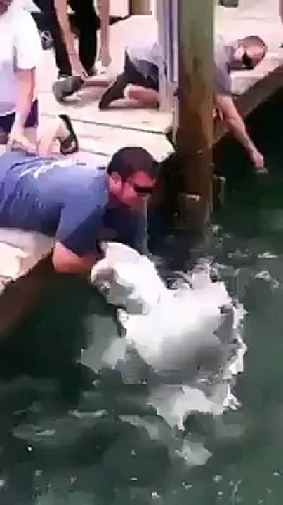 Big fish caught his arm