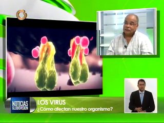 Video herunterladen: Conozca los diferentes tipos de virus