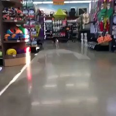 Dog Loves His New Shoes