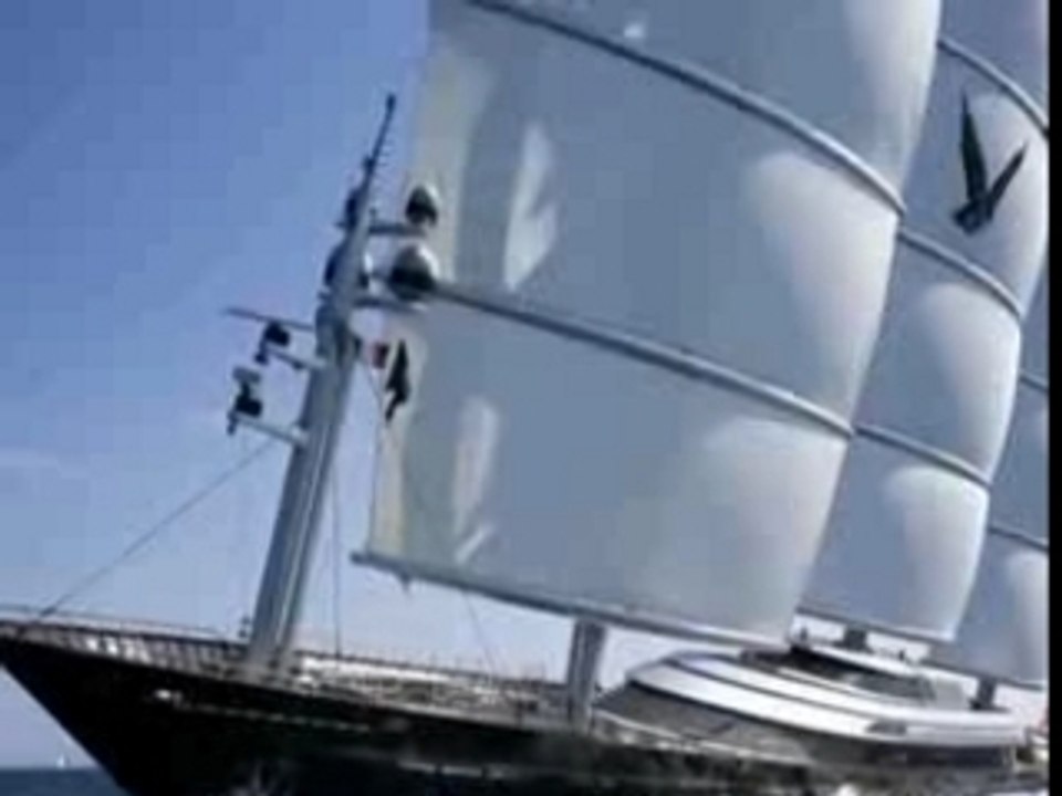 Maltese Falcon