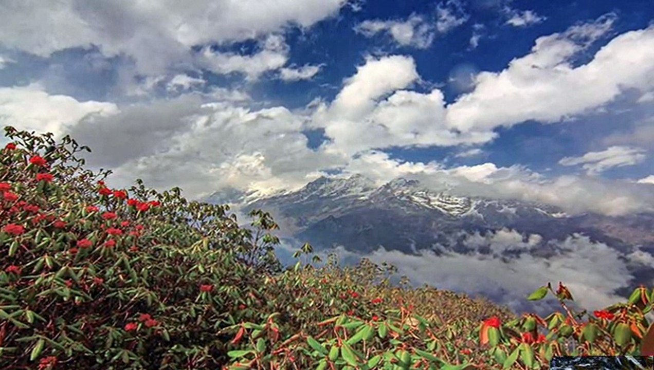 Goecha La - Sikkim, India