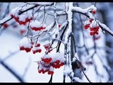 Russian Winter (The Four Seasons, Antonio Vivaldi)