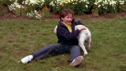 Tyas Looks At... The Dogfather