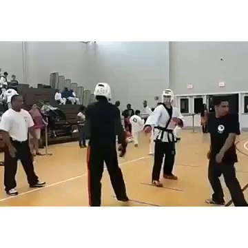 Knock Out caused by spinning hook kick