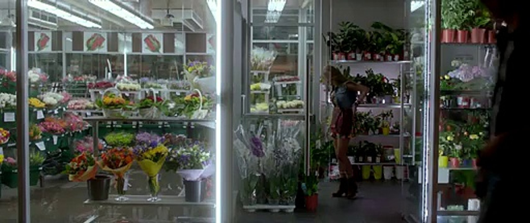 03/17/2015 02:47:09 Золушка смотреть онлайн бесплатно в хорошем качестве hd 720