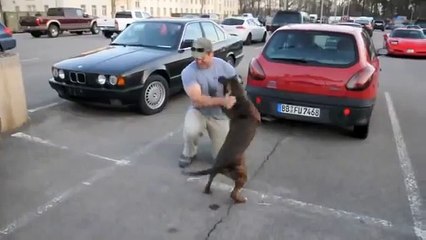 Dog Welcomes Home Soldier...Again