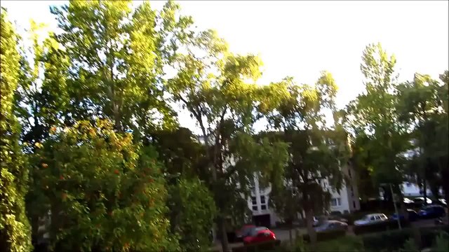 How to make a Paper Airplane that Flies Paper Airplanes Best Origami Plane Phoenix