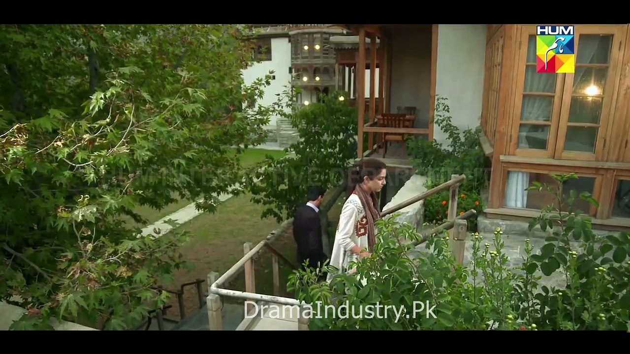Dayar e Dil OST Title Song New Drama Hum TV