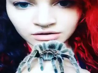 When you're so bored, you decide to eat your spider