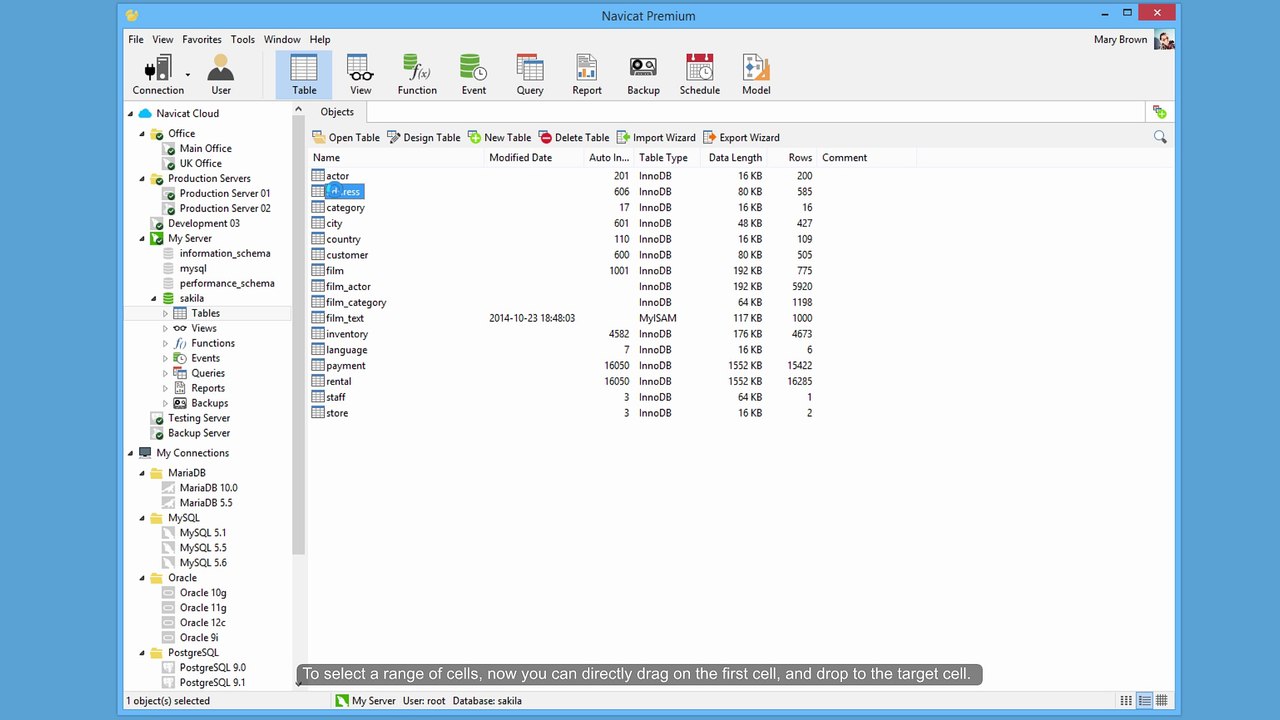 How to modify data quickly and easily using Navicat? (Windows & Linux)