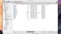 How to import or export binary data to or from your table? (Mac)
