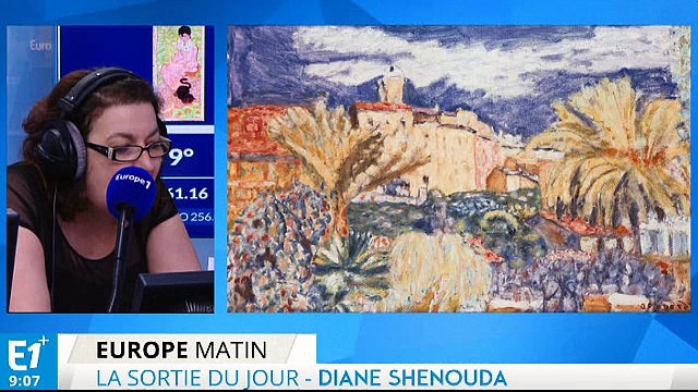 Musée d'Orsay, Pierre Bonnard sous toutes ses formes