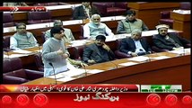 Chaudhry Nisar Address in National Assembly - 17th March 2015