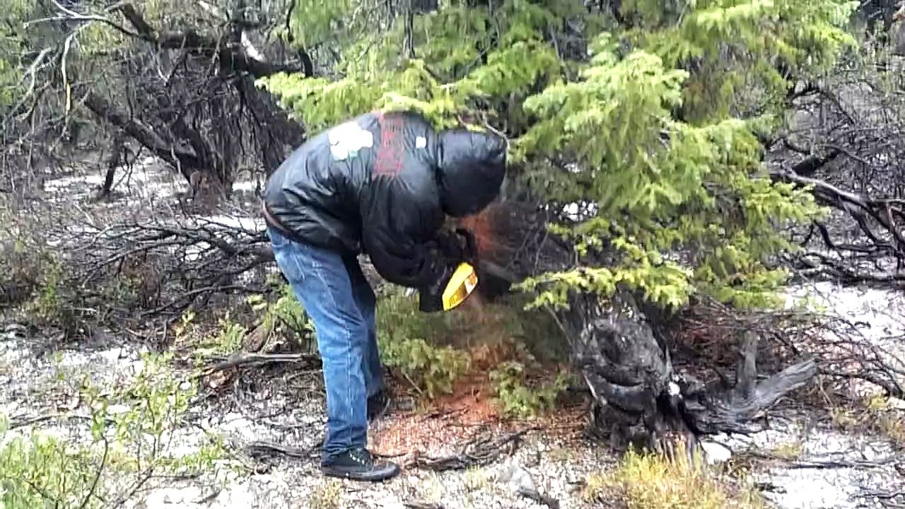 Chainsaw for sale-chainsaws