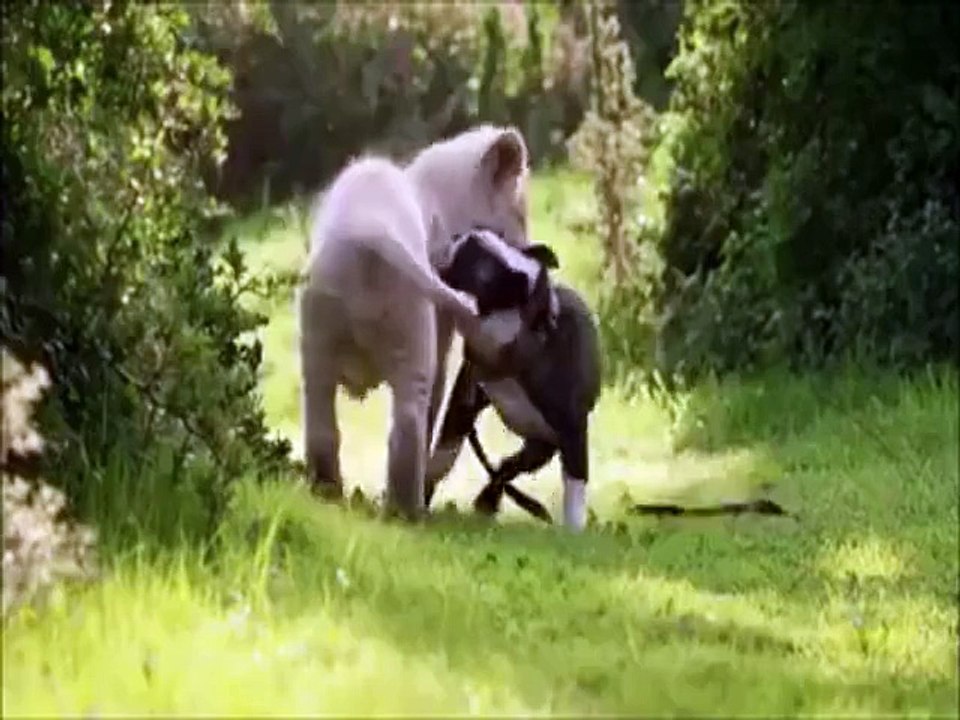 This will make your day better :)