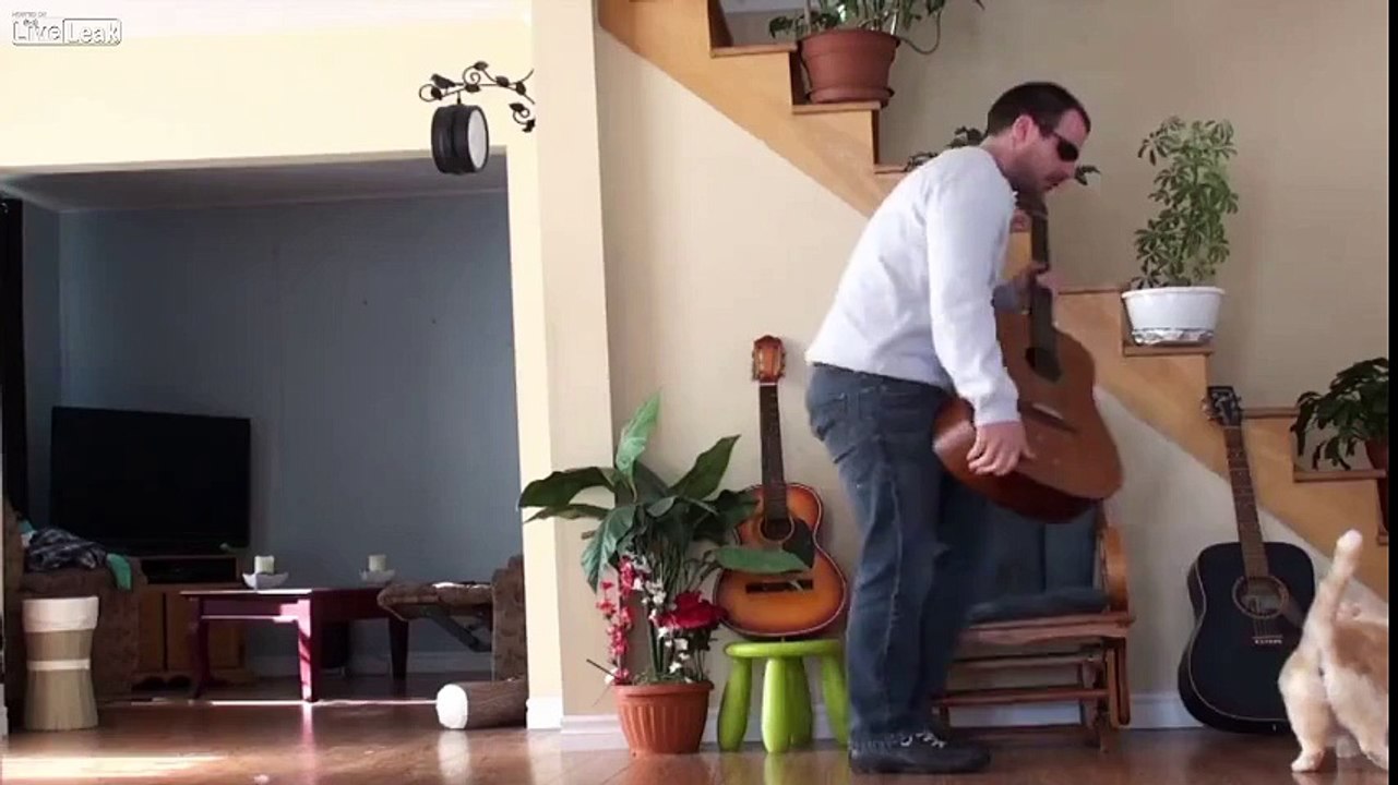 Yerinden olan kedinin acı intikamı