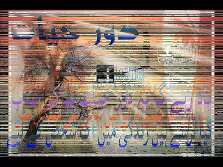 Shaman Ali Mirali Wichree Waye Tu Pob