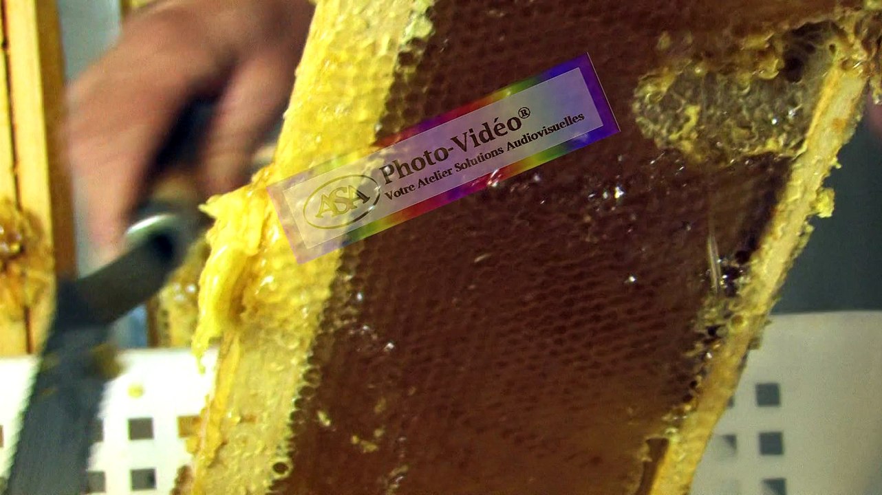 APICULTURE Extrait 15