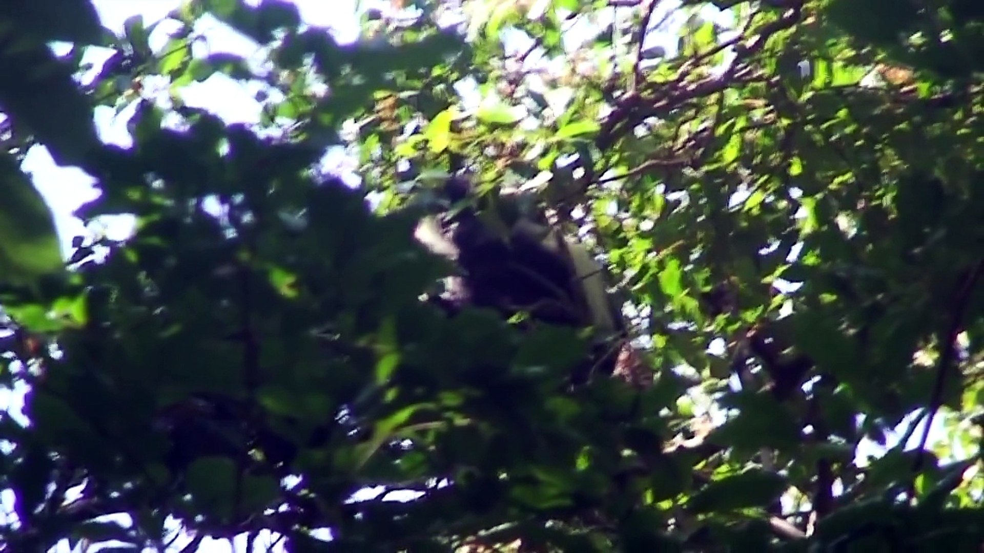 Episode 90, Sanje Falls, Tanzania