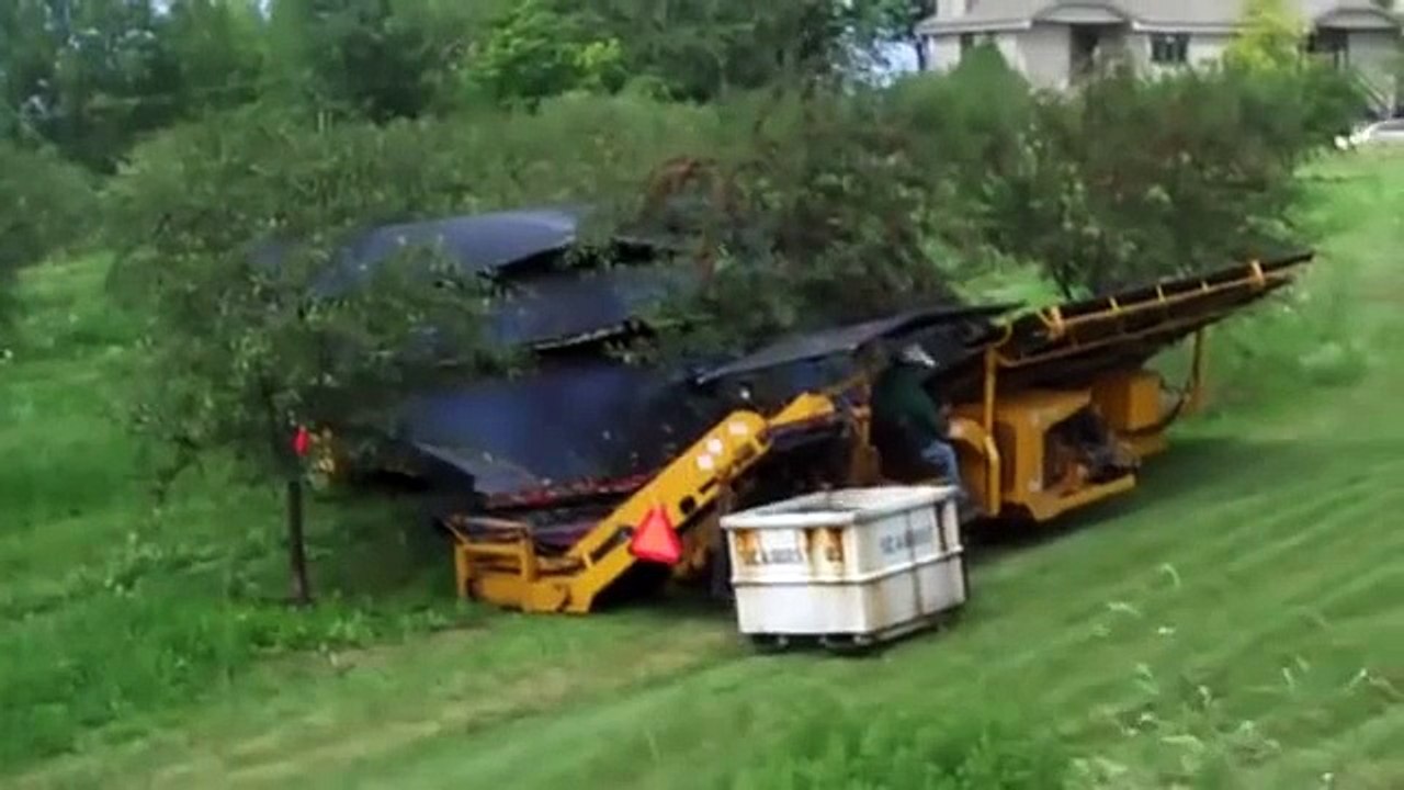 Kiraz Toplama Makinası  - Cherry Picking Machine